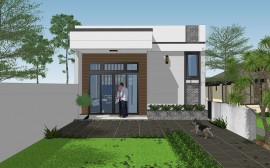 Kinh nghiệm cải tạo khu đất 250m2 thành không gian xanh hiệu quả